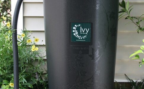 Annual Ivy Rain Barrel Sale