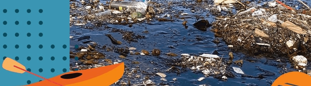 Cheers to Clean Water: Clean-Up Presented by the Water Quality Forum
